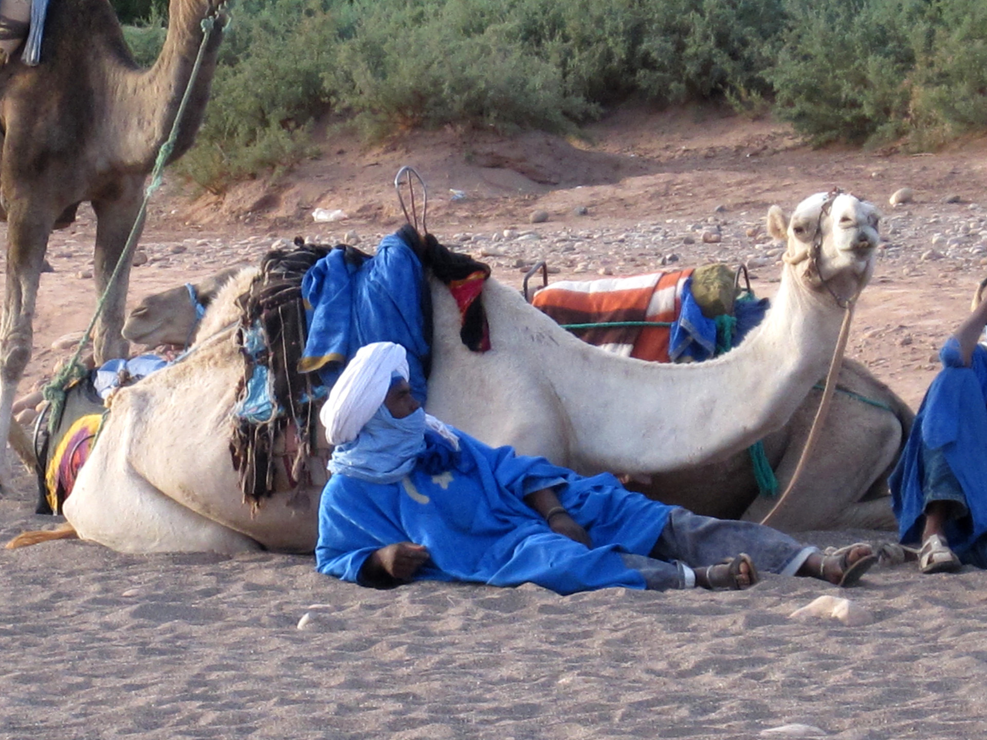 Tuareg - Marokko